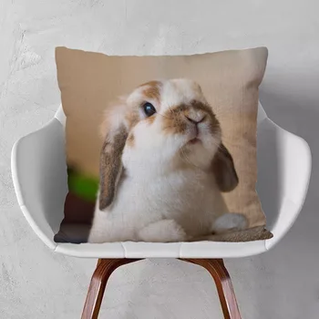 ארנב חמוד חיות פוסטר של ציור כרית כיסוי כריות נוי על הספה 45X45cm